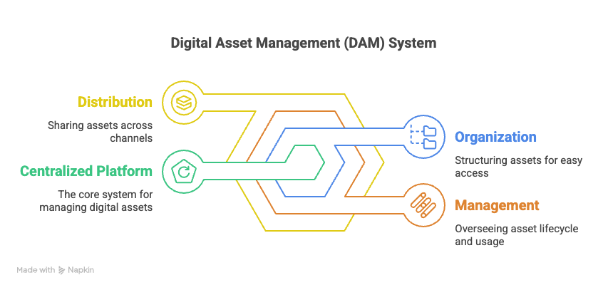 Digital Asset Management (DAM) System
