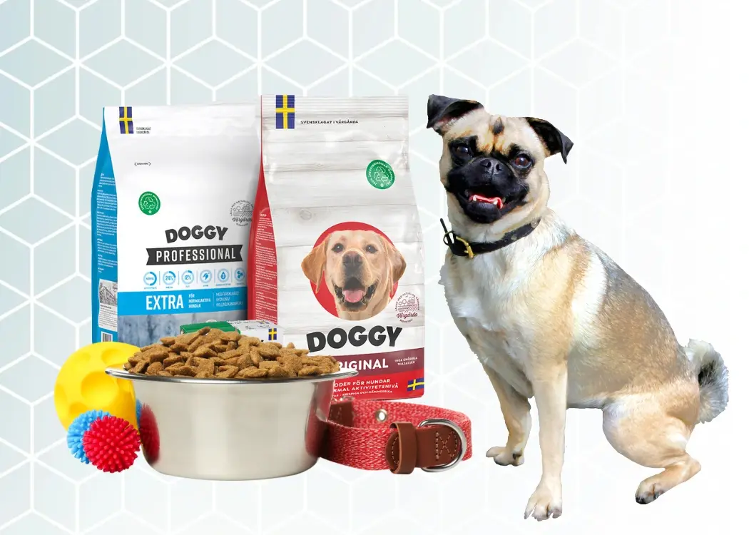 Navigating the EU pet food regulatory landscape