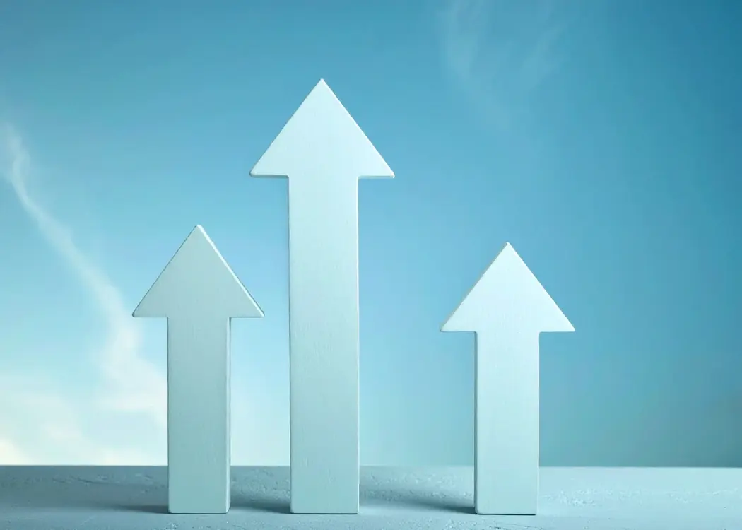 Key decisions for a fast-growing FMCG brand